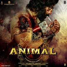 Kashmir Mp3 Kashmir Mp3